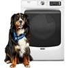 7.4 cu. ft. Electric Dryer with Pet Pro Option (YMED7020RW) image 1