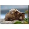 D3540-2228 Two Bears image 1