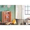 Crea 13076 Metal 2-Door Accent Cabinet - Orange image 9