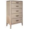 Ellesmere 5-Drawer Chest (DRSG-200-30) image 2