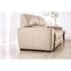 Marsicano Stationary Leather Sofa (FM90005TP-SF) image 6
