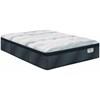 Gleaming Gull Plush Pillow Top Mattress (Twin XL) image 1