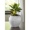 Meadie A2000787 Vase image 3
