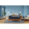 Phoenix Firm Mattress (Queen) image 5