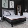 Matt-2-Go Mattress (Twin XL) image 5