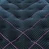 FENNA Plush Pillow Top Mattress (Twin XL) image 4