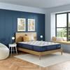 Oxford Plush Mattress Set (Queen) image 2