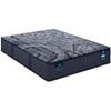 X-Ceptional Firm Mattress (Queen) image 1