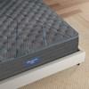 Leto Tight Top Extra Firm Mattress (Twin XL) image 3