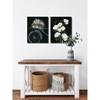 Cotton Blooms Set of 2 CE759-1620T image 2