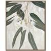 Eucalyptus Blossoms I SUN24130 image 1