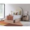 Arloster Twin Upholstered Panel Bed with Storage (PCB1566-53/PCB1566-52/PCB1566-50/PCB1566-50/B100-11) image 8