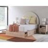 Arloster Full Upholstered Panel Bed with Storage (PCB1566-87/PCB1566-84/PCB1566-50/PCB1566-50/B100-12) image 7