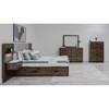 Oliver Queen Upholstered Panel Bed with Storage (9500-ST-UP-FNT-Q) image 5