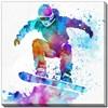 Snowboarder in Flight D4097-1616 image 1