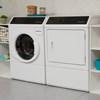 3.5 cu. ft. Front Loading Washer with Pet Plus™ Flea Cycle (AFNEPBSP119TW01) image 5