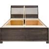 Vassu King Bed with Storage (Vassu King Box Bed) image 1