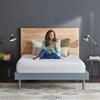 Tempur Mattress Protector (King) image 4
