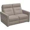 Reece Stationary Leather Loveseat (40109-03-EVOQUE-STONE) image 1