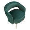 Roslyn Stationary Fabric Accent Chair (1024GRN-1) image 3