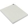 Premium Allergen Air Filter (FRPARAC15) image 2
