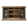 Wittenmyer TV Stand (W794-68) image 4