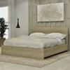 Queen Platform Bed (9058 Queen Platform Bed - Ash) image 1