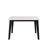 Square Sabro Counter Height Dining Table (FM3330BK-PST-TABLE) image 2