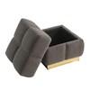 Aileen FM-AC8006GY Storage Stool image 2
