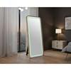 Kiley Floorstanding Mirror (FM-AC8025GD-M) image 2
