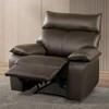Onoria Leather Recliner (FM69008BR-CH-M) image 1
