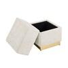 Krysten FM-AC8005WH Storage Stool image 2