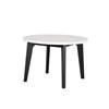 Round Sabro Dining Table (FM3330BK-RT-TABLE) image 4