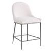 Rilva Counter Height Stool (FM37015GY-PC) image 1
