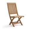 Nusa Stationary Accent Chair (GM-2038) image 1