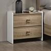 Posey 2-Drawer Nightstand (FM72031AK-N) image 1