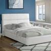 Vodice Queen Bookcase Bed (CM7513Q-BED+B) image 1