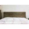 Pickstown Queen Platform Bed (FOA7491Q-BED) image 4