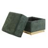 Krysten FM-AC8005GR Storage Stool image 2
