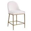 Rilva Counter Height Stool (FM37015GD-PC) image 1