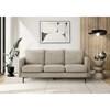 Stationary Polyester Sofa (8K13C04) image 1
