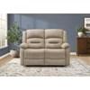 Reclining Polyester Loveseat (8P22406) image 2
