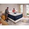 Dorinda Medium Eurotop Mattress (Queen) image 5