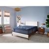 Maloney Plush Euro Top Mattress (King) image 4