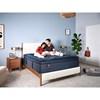 Maloney Plush Euro Top Mattress (King) image 5