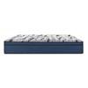 Laurence Medium Euro Top Mattress (Twin XL) image 3
