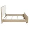 Ladera 225081Q 56-inch Queen Panel Bed - Light Elm image 4