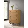 Robyn 225095 5-drawer Bedroom Chest - Light Ash image 4