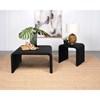 Cahya 708518-S2 2-piece Rattan Coffee and End Table Set - Black image 2