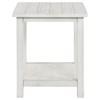 Payne 710558-S2A 2-piece Coffee and End Table Set - Distressed White image 1
